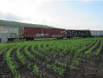 MP 260423